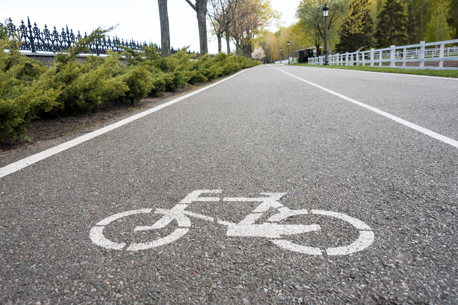 Tarifs pour la location de vélos électriques. VéloPoP! est un relais et café qui propose la location de vélos électriques vintage à St-Michel-de-Bellechasse. Découvrez les beaux villages et les arrêts gourmands de la région de Bellechasse sur des circuits aux paysages exceptionnels, sur des E-Bikes élégants en toute sécurité ! Réservez dès maintenant! Hébergement disponible près de nos installations. Location de vélos électriques près de Lévis et Québec. Tourisme Bellechasse. Location de E-Bikes. Location vélos électriques St-Michel. Location de E-bikes St-Michel. Location de vélos électriques Lévis. Location de vélos électrique Québec. Location de E-bikes Lévis. Location de E-Bikes Québec. Location de vélos électrique Bellechasse. Location de vélos électriques Etchemins. Location de E-Bikes Bellechasse. Location de E-Bikes Etchemins. Location de vélos électrique Montmagny. Location de E-Bikes Montmagny. Location de vélos électrique Rive-Sud Québec. Location de E-Bikes Rive-Sud Québec.