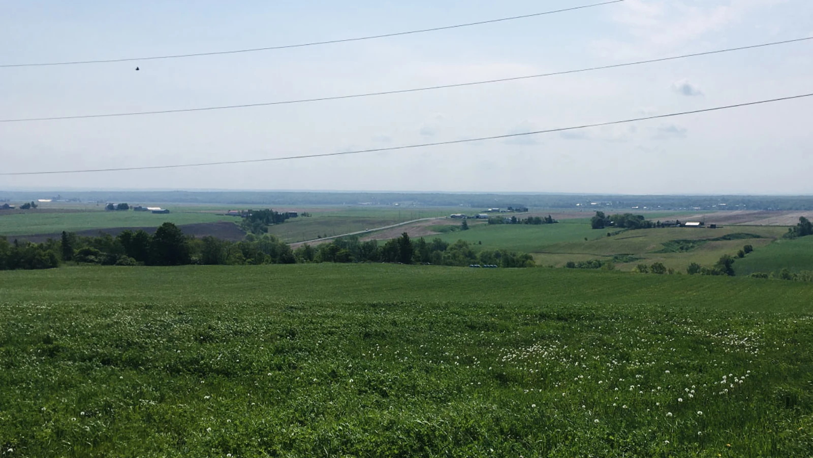 VéloPoP! est un relais et café qui propose la location de vélos électriques vintage à St-Michel-de-Bellechasse. Découvrez les beaux villages et les arrêts gourmands de la région de Bellechasse sur des circuits aux paysages exceptionnels, sur des E-Bikes élégants en toute sécurité ! Réservez dès maintenant! Hébergement disponible près de nos installations. Location de vélos électriques près de Lévis et Québec. Tourisme Bellechasse. Location de E-Bikes. Location vélos électriques St-Michel. Location de E-bikes St-Michel. Location de vélos électriques Lévis. Location de vélos électrique Québec. Location de E-bikes Lévis. Location de E-Bikes Québec. Location de vélos électrique Bellechasse. Location de vélos électriques Etchemins. Location de E-Bikes Bellechasse. Location de E-Bikes Etchemins. Location de vélos électrique Montmagny. Location de E-Bikes Montmagny. Location de vélos électrique Rive-Sud Québec. Location de E-Bikes Rive-Sud Québec.