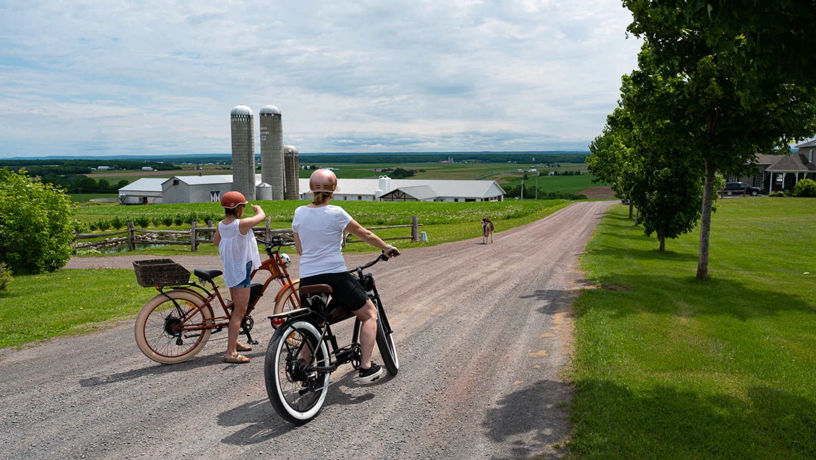 VéloPoP! est un relais et café qui propose la location de vélos électriques vintage à St-Michel-de-Bellechasse. Découvrez les beaux villages et les arrêts gourmands de la région de Bellechasse sur des circuits aux paysages exceptionnels, sur des E-Bikes élégants en toute sécurité ! Réservez dès maintenant! Hébergement disponible près de nos installations. Location de vélos électriques près de Lévis et Québec. Tourisme Bellechasse. Location de E-Bikes. Location vélos électriques St-Michel. Location de E-bikes St-Michel. Location de vélos électriques Lévis. Location de vélos électrique Québec. Location de E-bikes Lévis. Location de E-Bikes Québec. Location de vélos électrique Bellechasse. Location de vélos électriques Etchemins. Location de E-Bikes Bellechasse. Location de E-Bikes Etchemins. Location de vélos électrique Montmagny. Location de E-Bikes Montmagny. Location de vélos électrique Rive-Sud Québec. Location de E-Bikes Rive-Sud Québec.